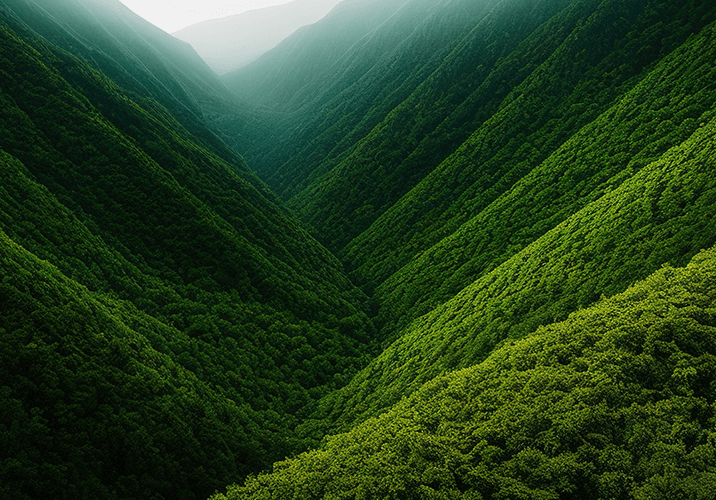 Nature & Landscapes