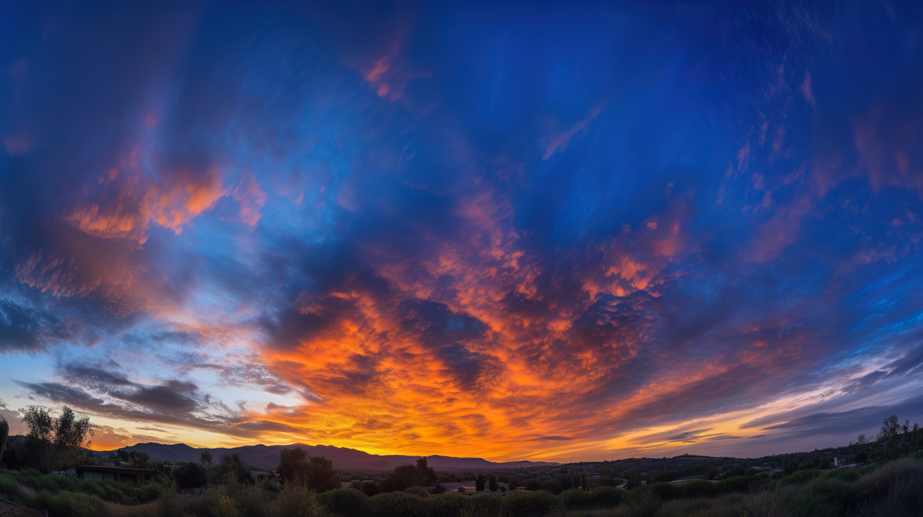 Stunning Sunset With Colorful Clouds Over a Field of Grass and Trees
