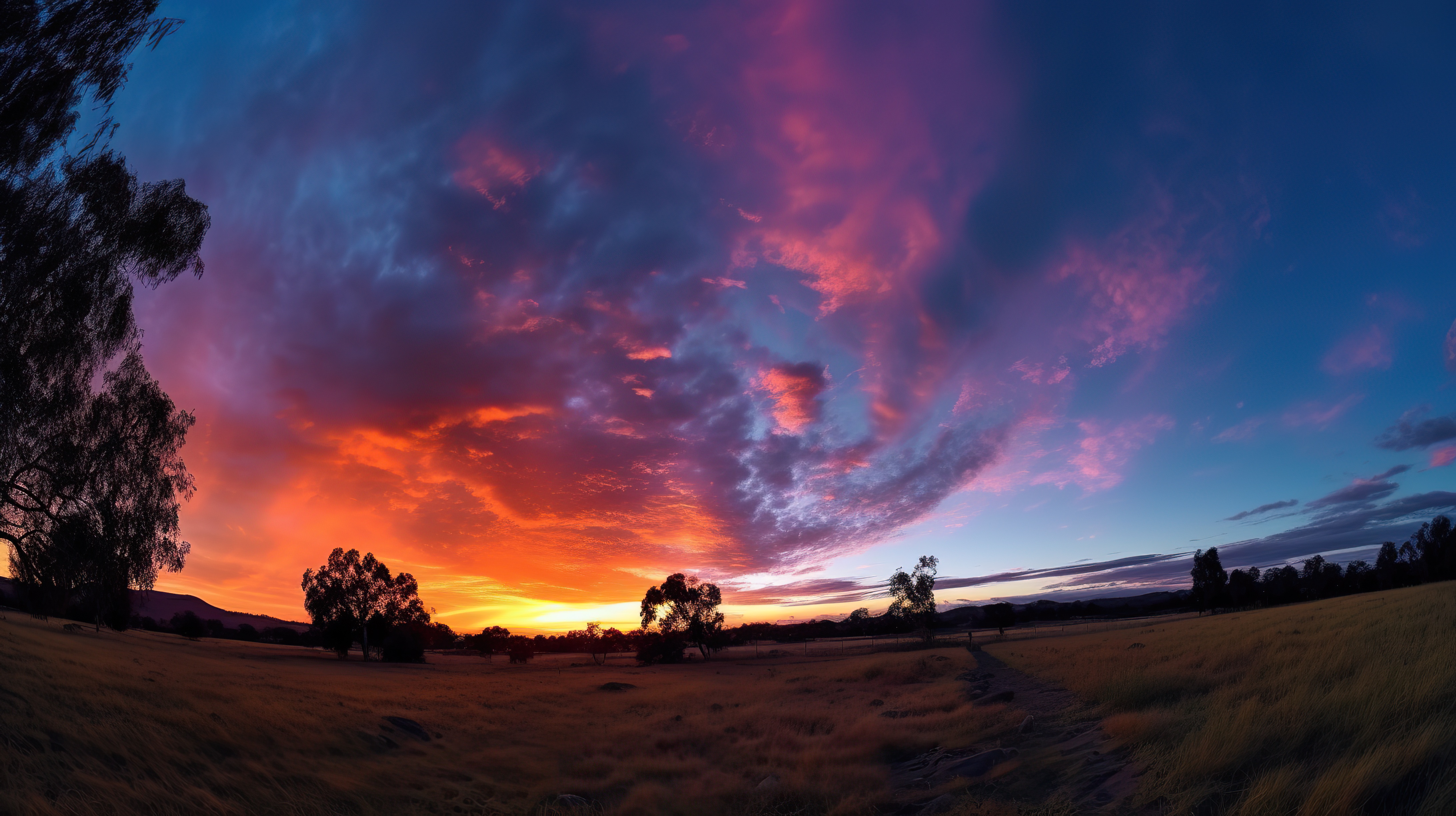 Stunning Sunset With Colorful Clouds Over a Field of Grass and Trees