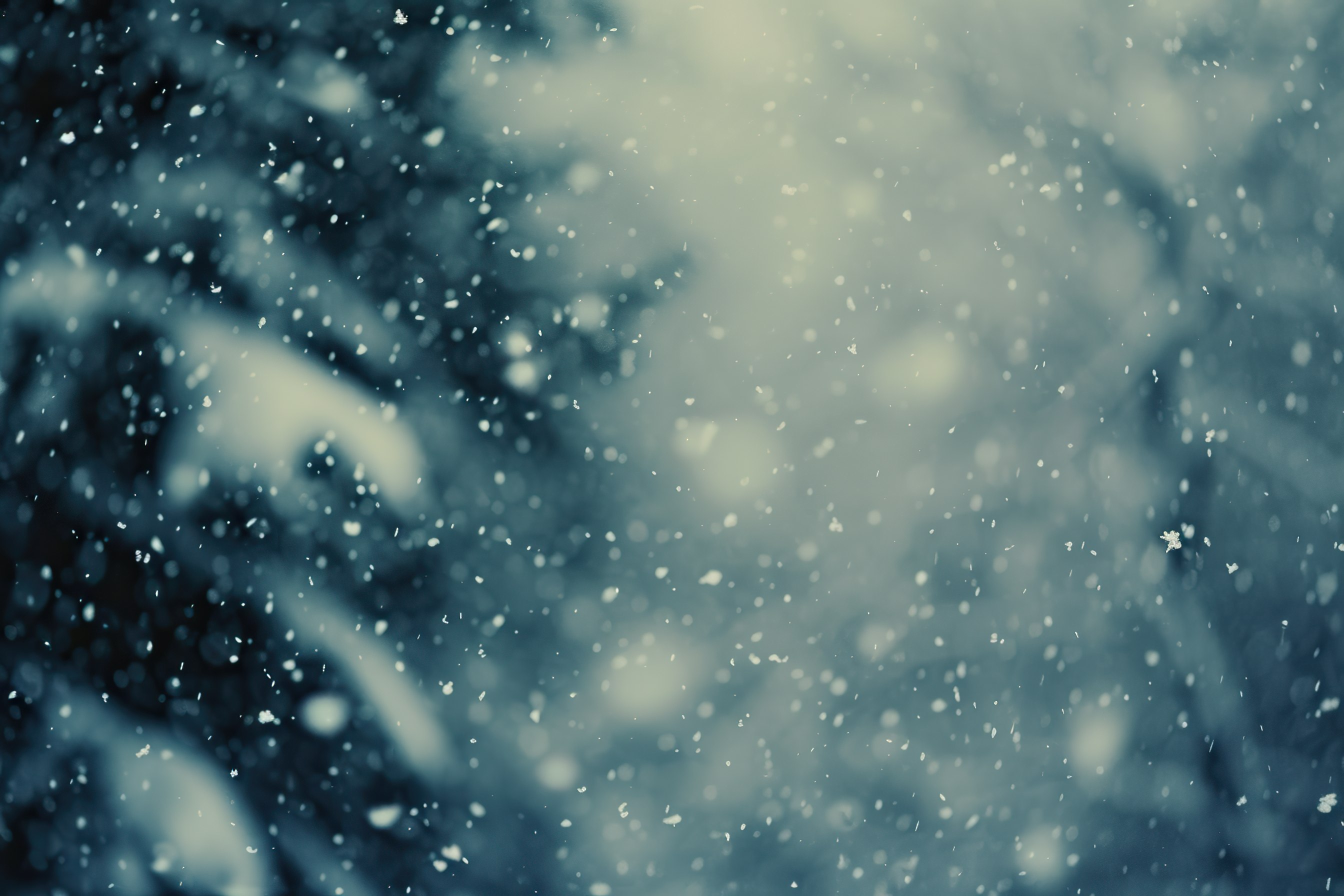 Close-up shot of Snowfall. Dark winter forest background