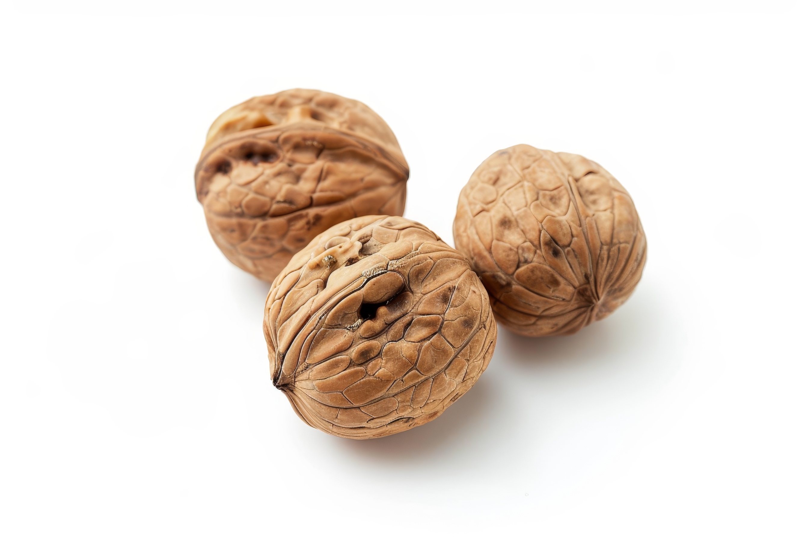 Close up of walnuts in the shell on white background