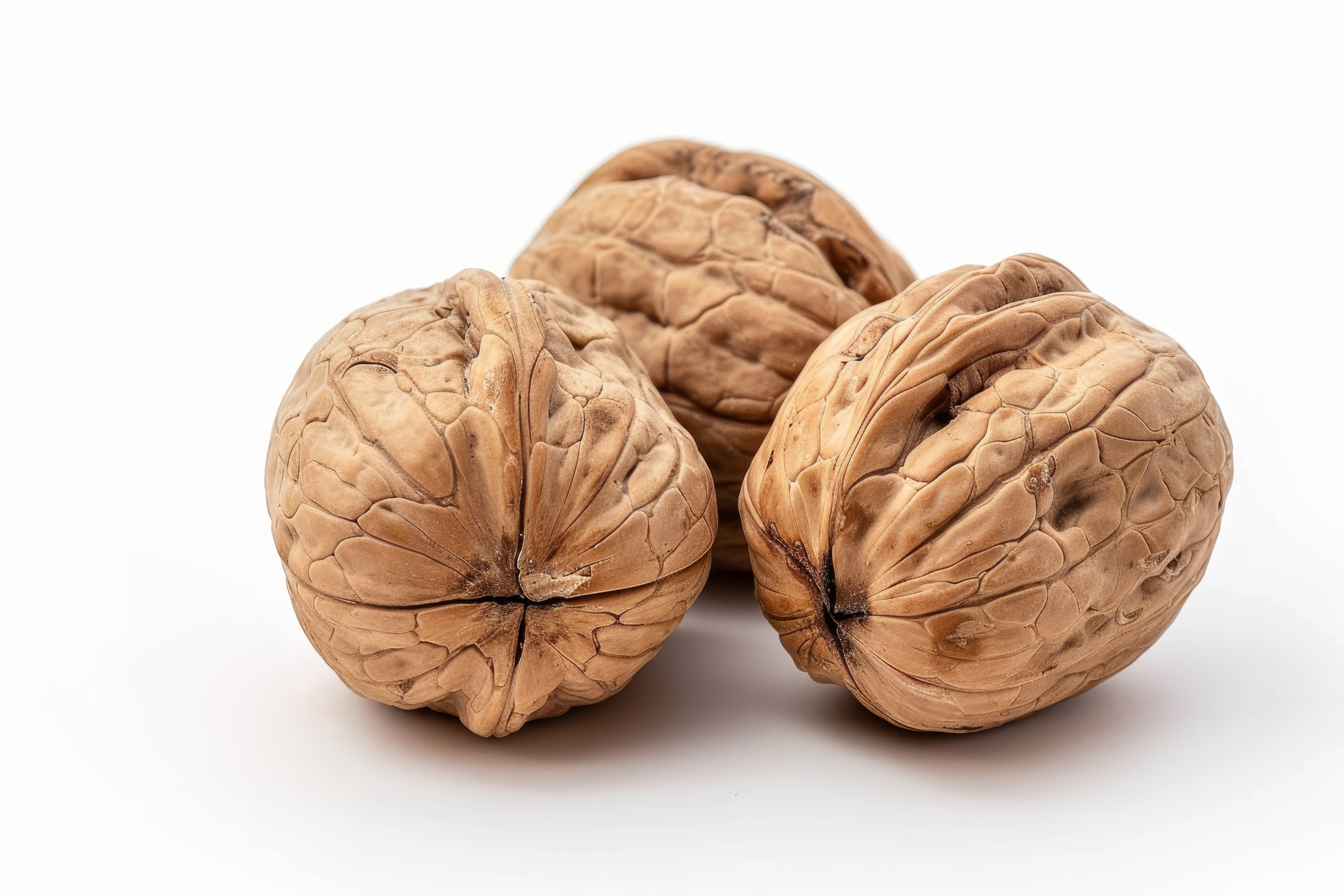 Close up of walnuts in the shell on white background