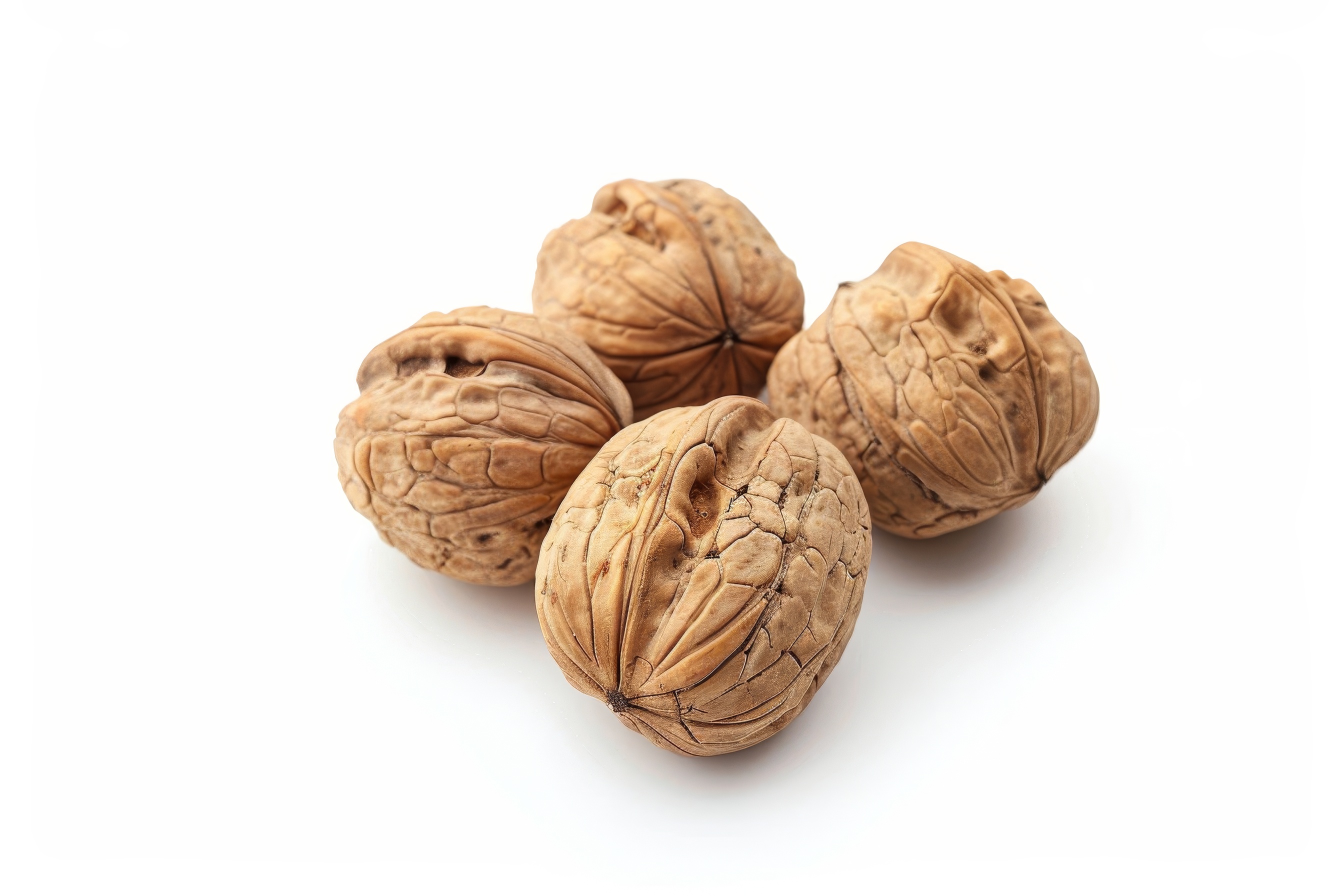 Close up of walnuts in the shell on white background