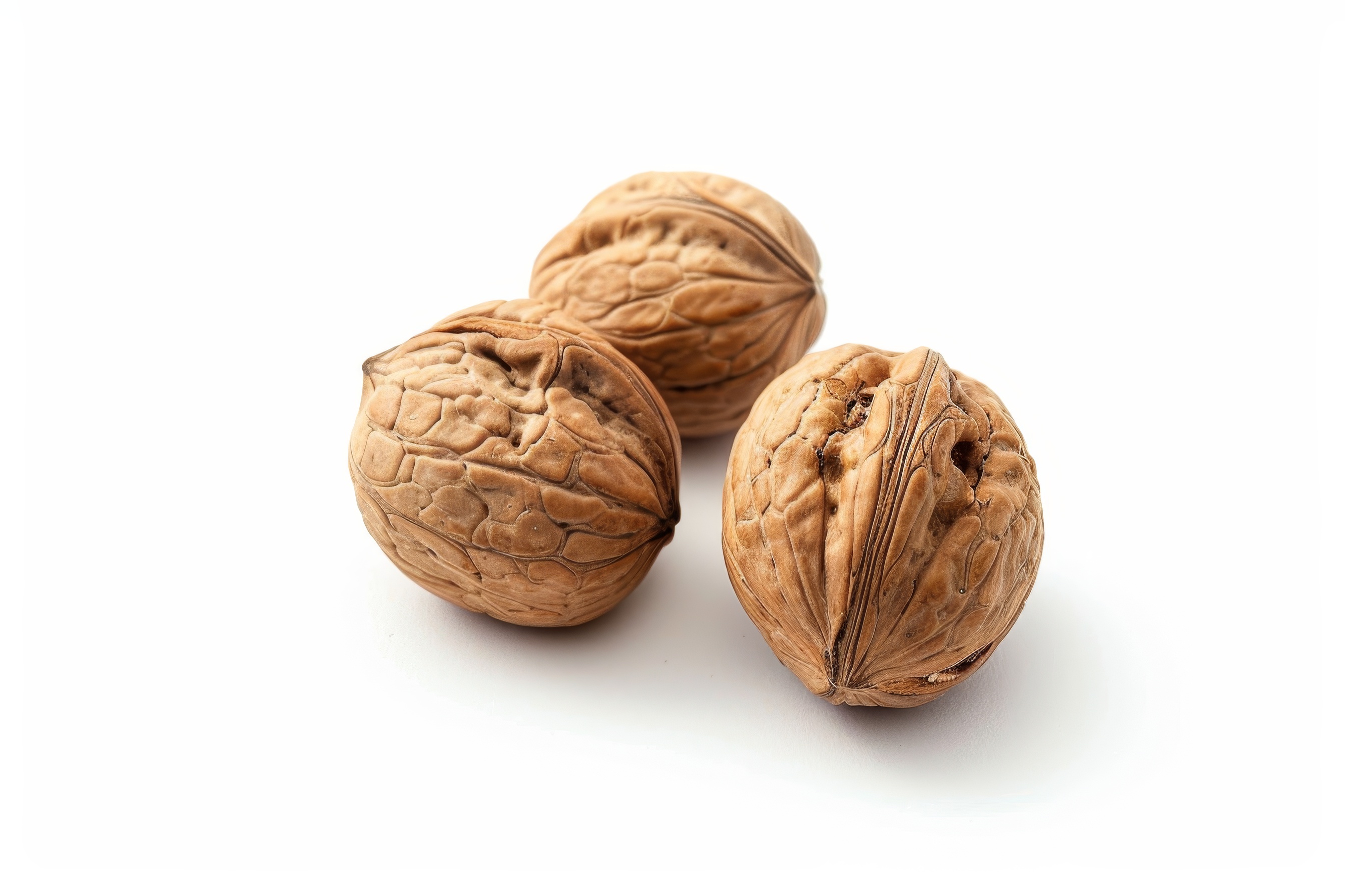 Close up of walnuts in the shell on white background