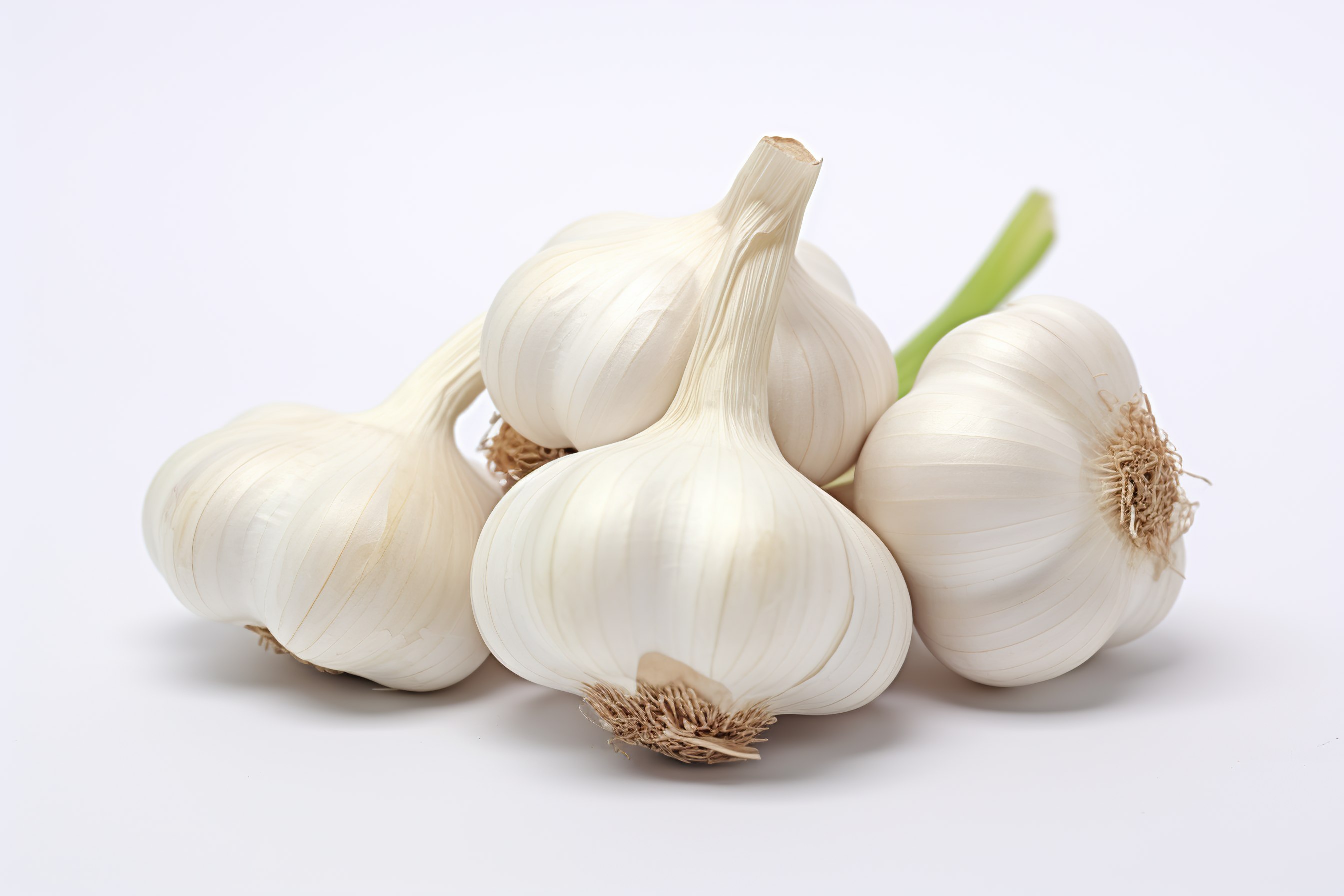 Garlic Isolated on white background