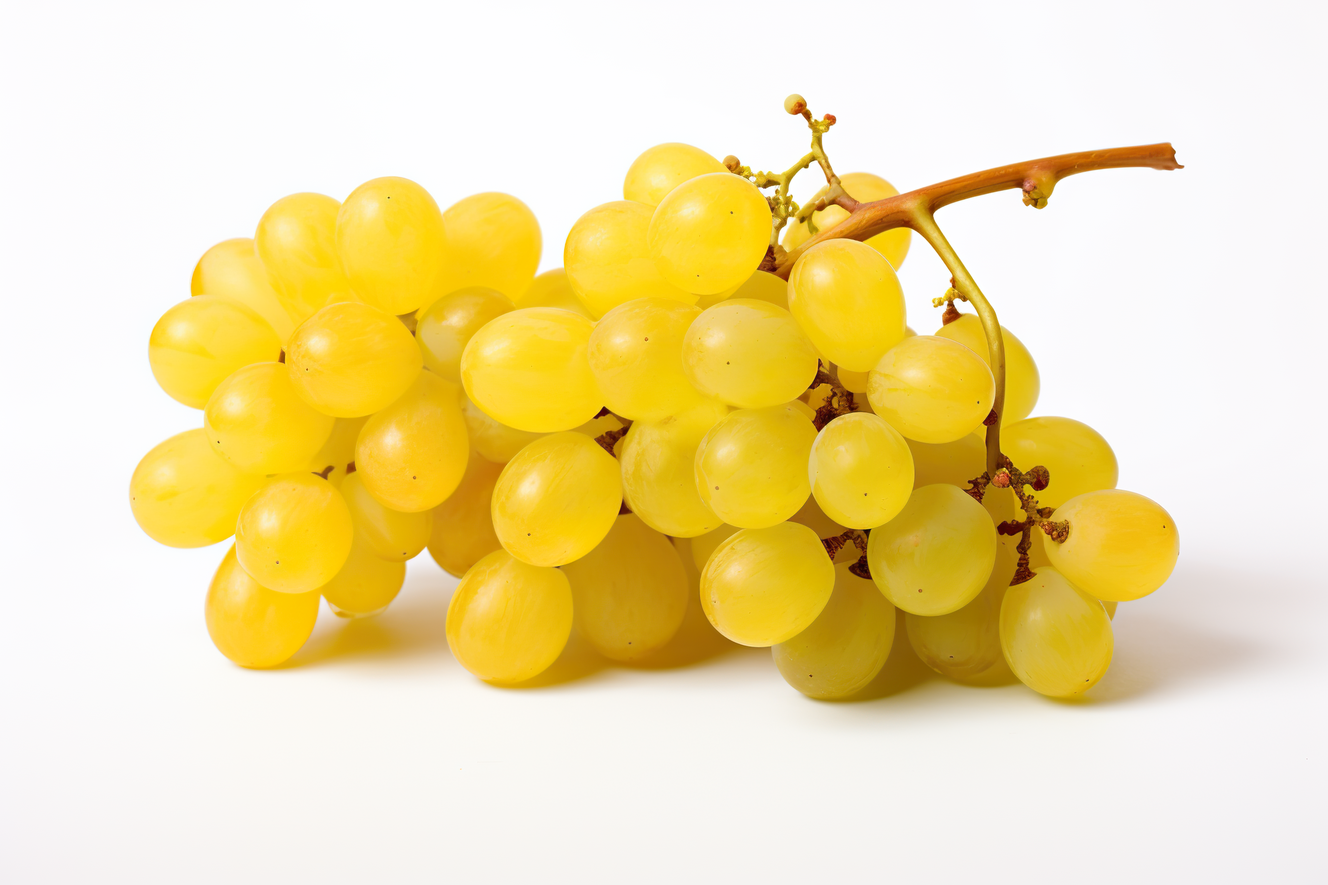 Ripe yellow grapes isolated on white background