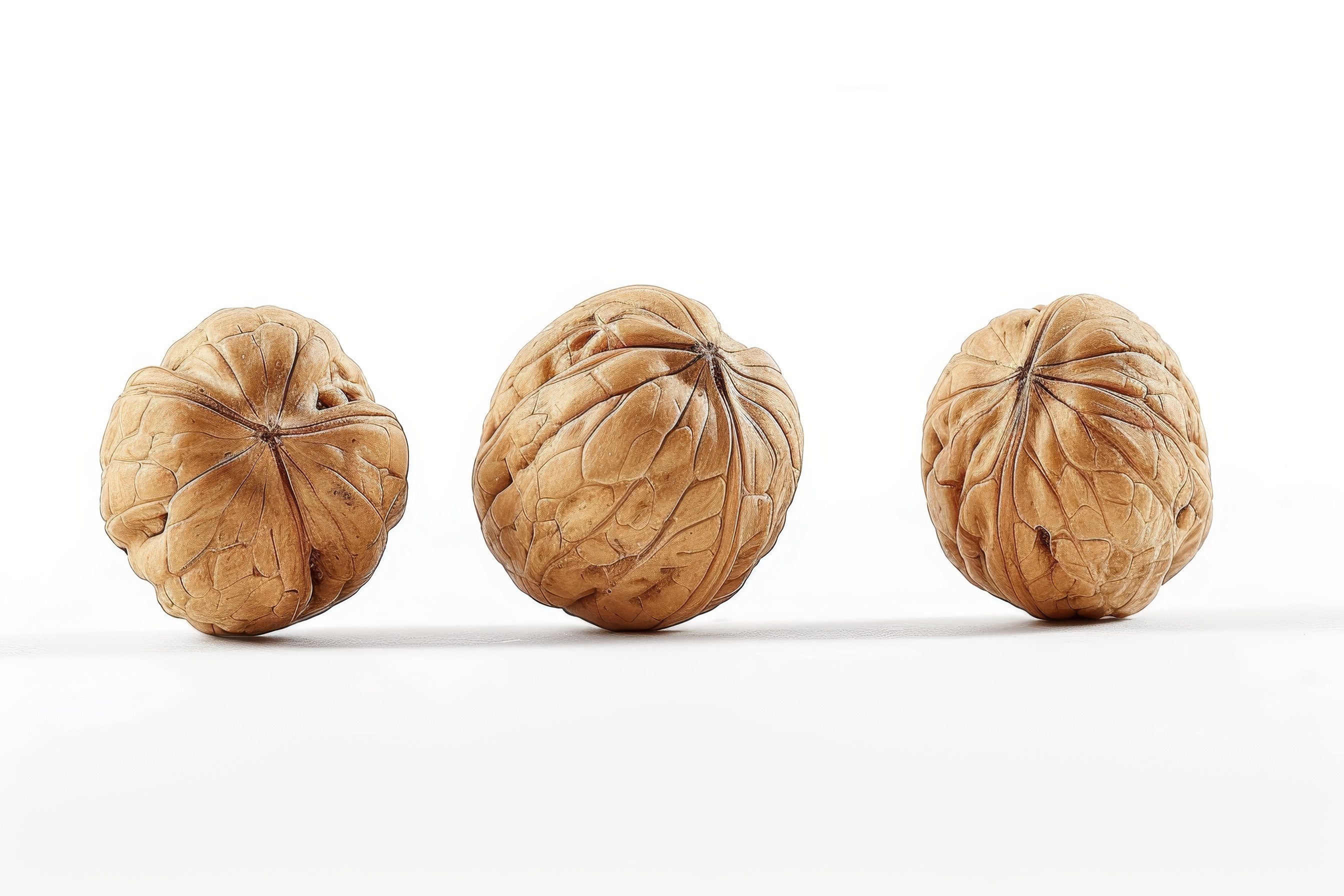 Three walnuts isolated on white background