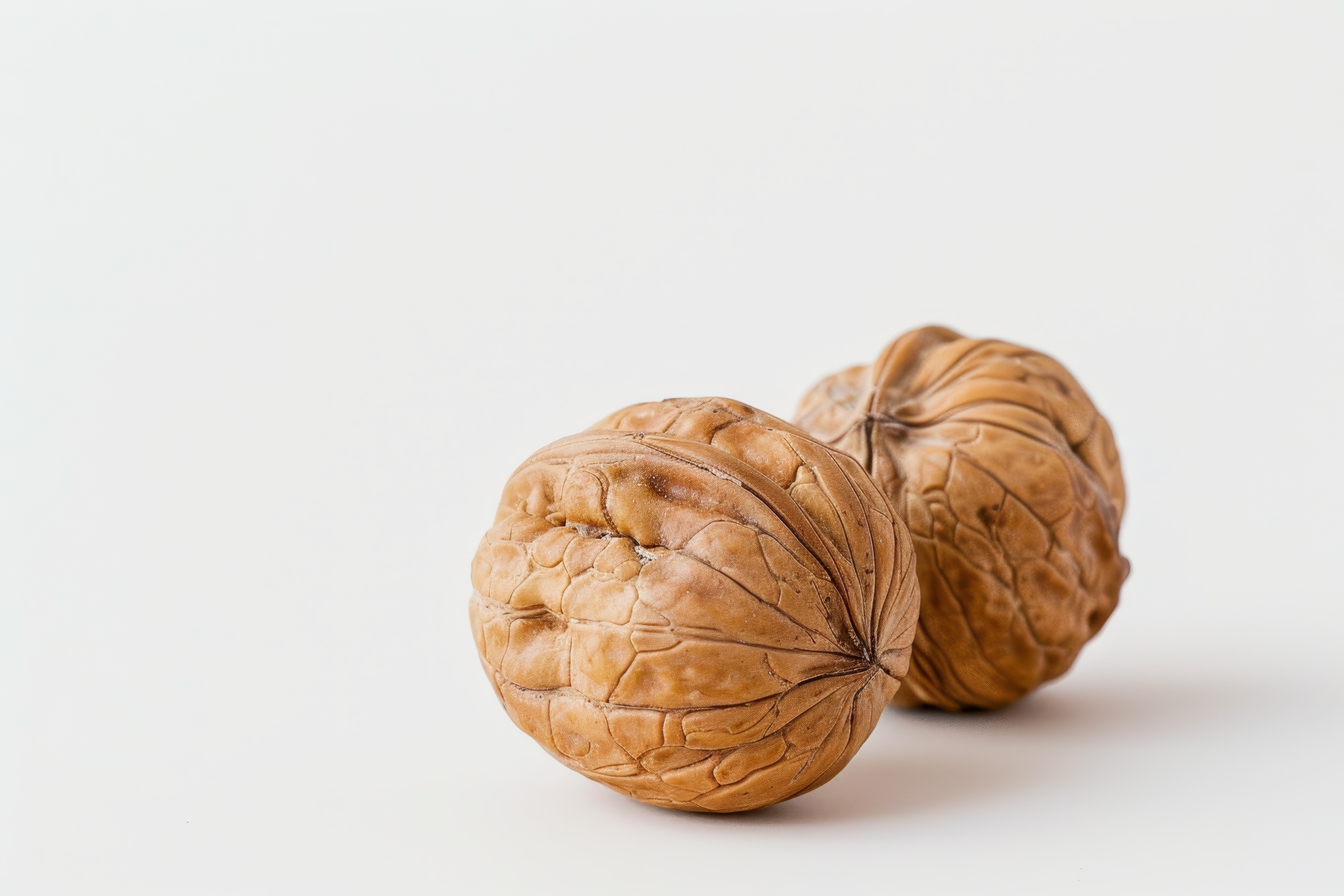Two walnuts closeup on a white background