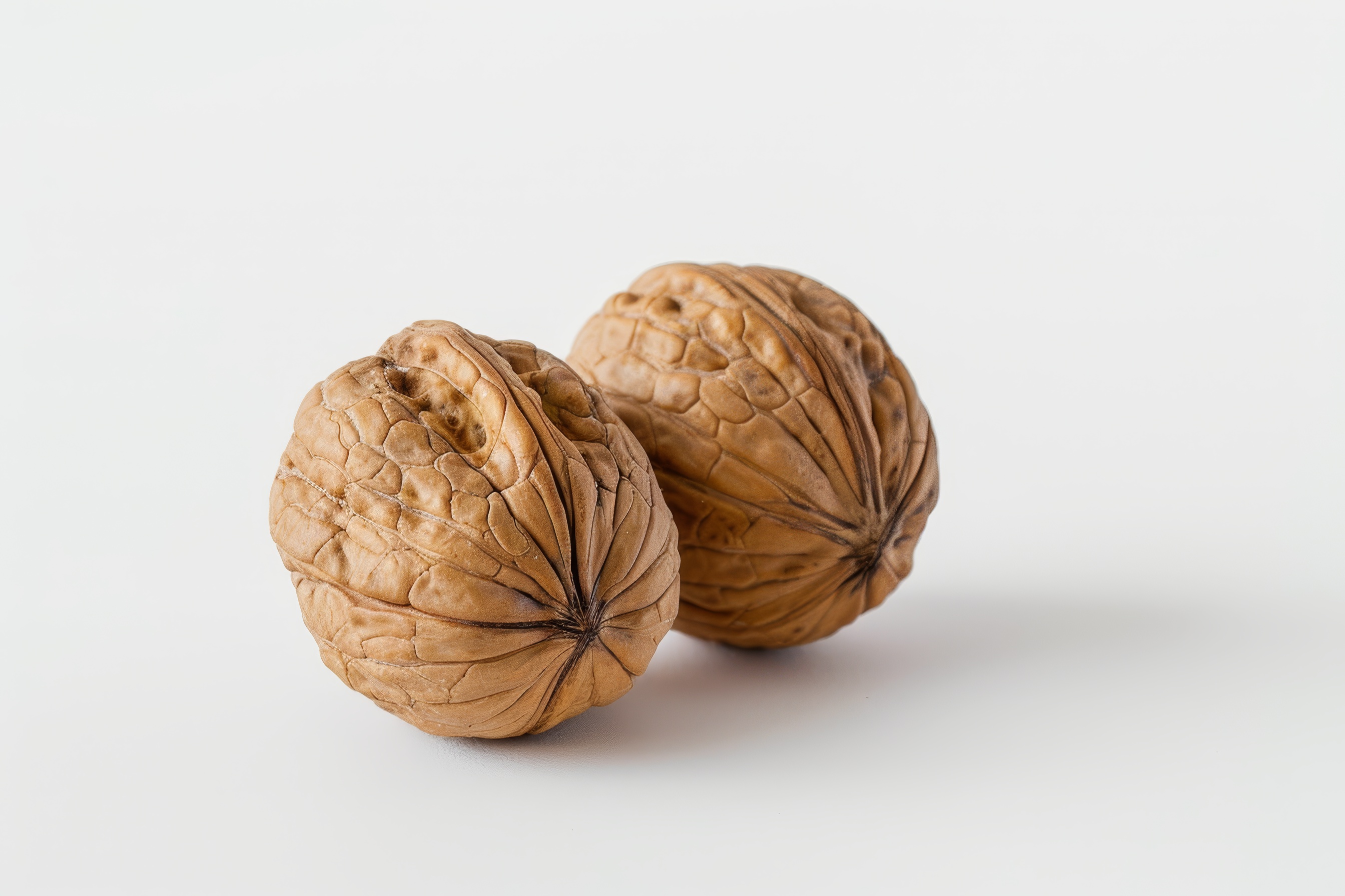 Two walnuts closeup on a white background