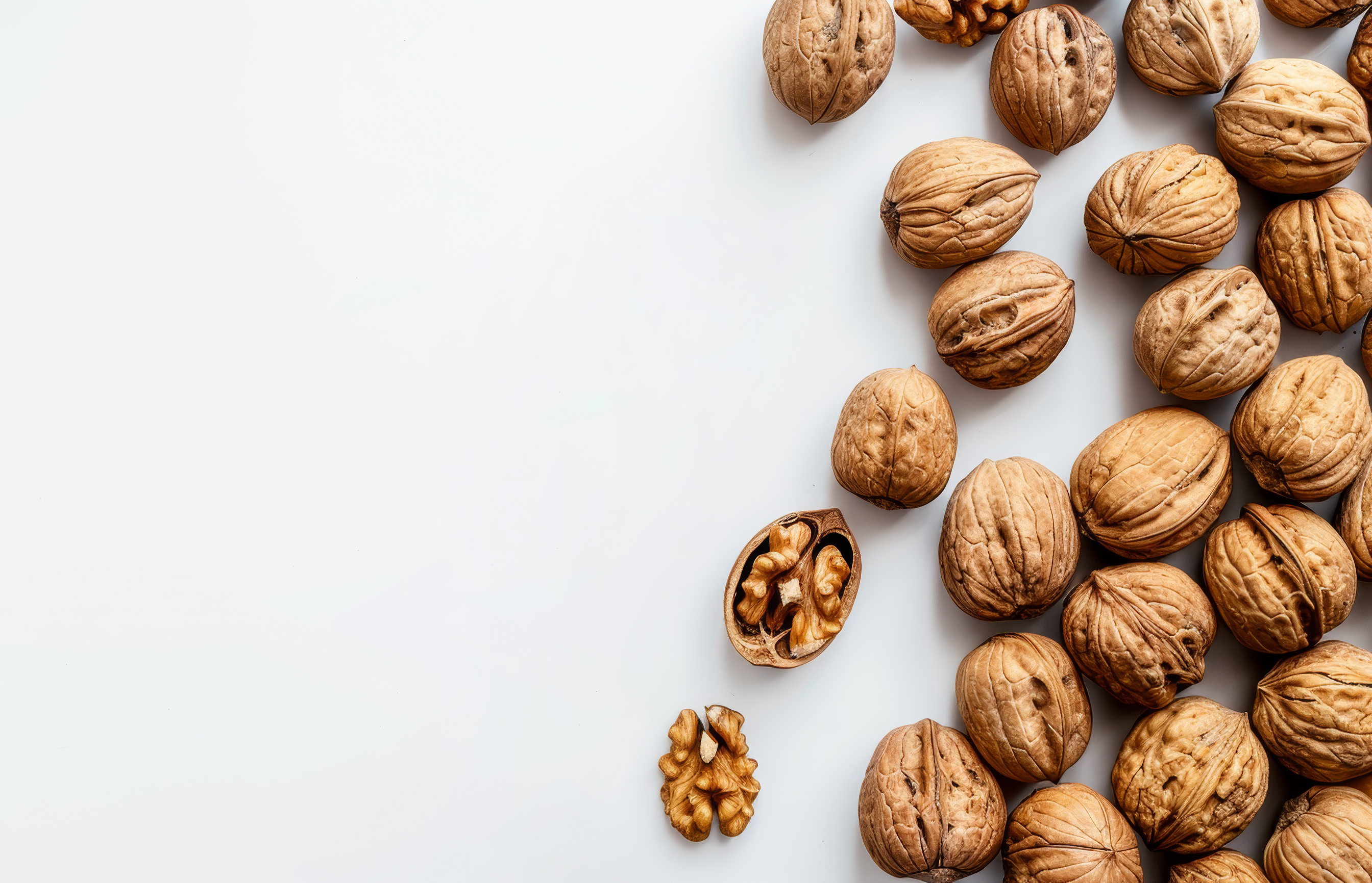 Walnuts isolated top view on white background